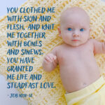 Job 10:11-12